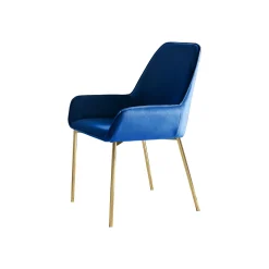 Eetkamerstoelen^Huisenthuis Eetkamerstoel Fiona Blauw – Set van 2