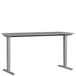 Bureaus^Huisenthuis Elektrisch Bureau Ergonoma Lichtgrijs 160 CM