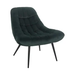 Fauteuils^Huisenthuis Fauteuil Stijn Groen