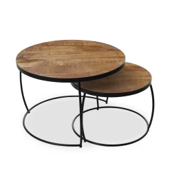 Salontafels^Huisenthuis Salontafel set Nova Mangolia Bruin